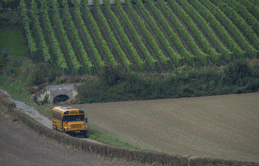 Dagarrangementen in combinatie met de Amerikaanse schoolbus